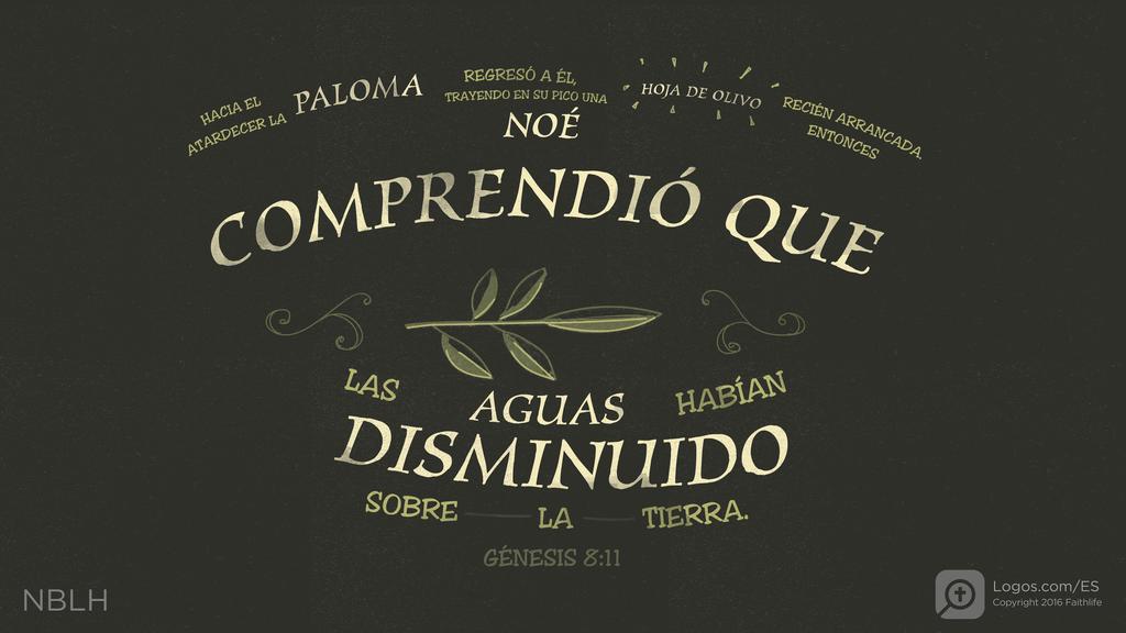 Génesis 8:11: HACIA EL ATARDECER LA PALOMA REGRESÓ A ÉL, TRAYENDO EN SU PICO UNA HOJA DE OLIVO RECIÉN ARRANCADA. ENTONCES NOÉ COMPRENDIÓ QUE LAS AGUAS HABÍAN DISMINUIDO SOBRE LA TIERRA.