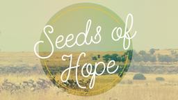 Seeds of Hope  PowerPoint Photoshop image 1