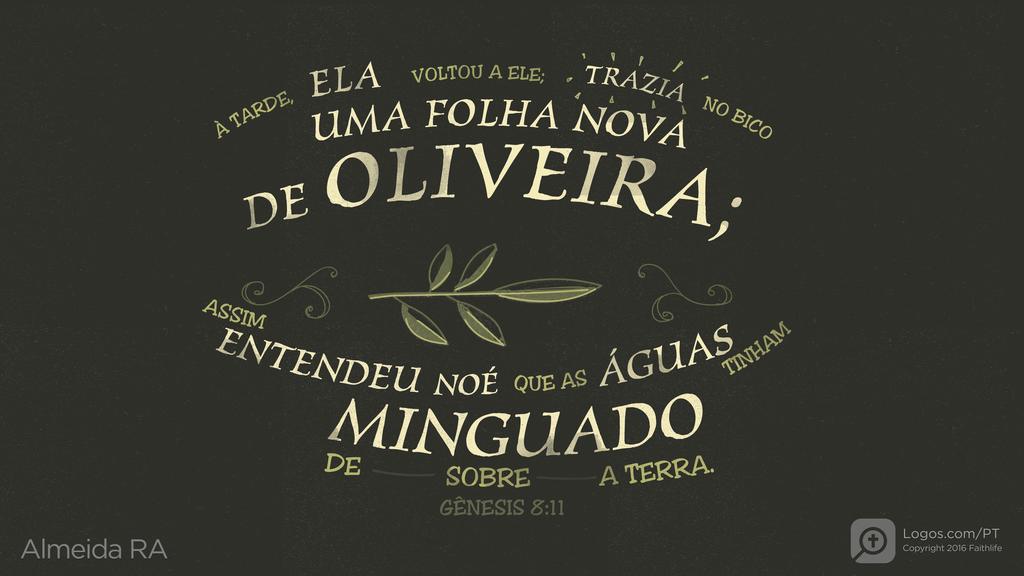 Gênesis 8.11: À TARDE, ELA VOLTOU A ELE; TRAZIA NO BICO UMA FOLHA NOVA DE OLIVEIRA; ASSIM ENTENDEU NOÉ QUE AS ÁGUAS TINHAM MINGUADO DE SOBRE A TERRA.