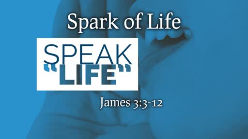 Speak life, week 3: Spark of Life // Pastor David Spiegel