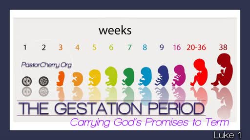 The Gestation Period