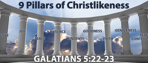 9 Pillars of Christlikeness - Joy