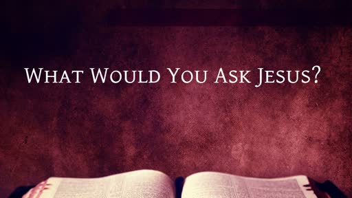 What Would You Ask Jesus?