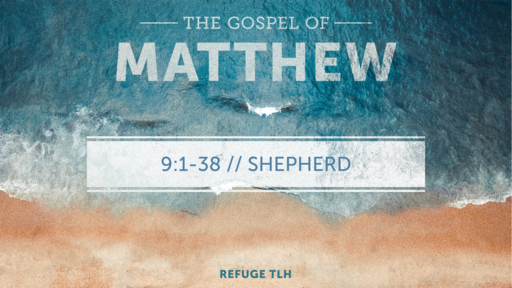 Matthew 9:1-38 // SHEPHERD