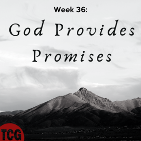 God Provides Promises