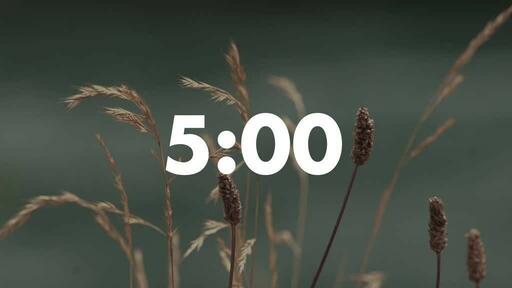 Normal Wildgrass - Countdown 5 min