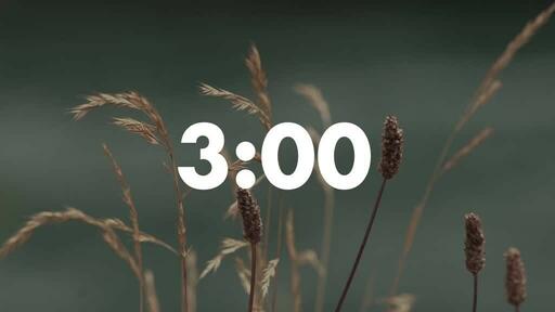 Normal Wildgrass - Countdown 3 min