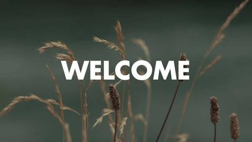 Normal Wildgrass - Welcome