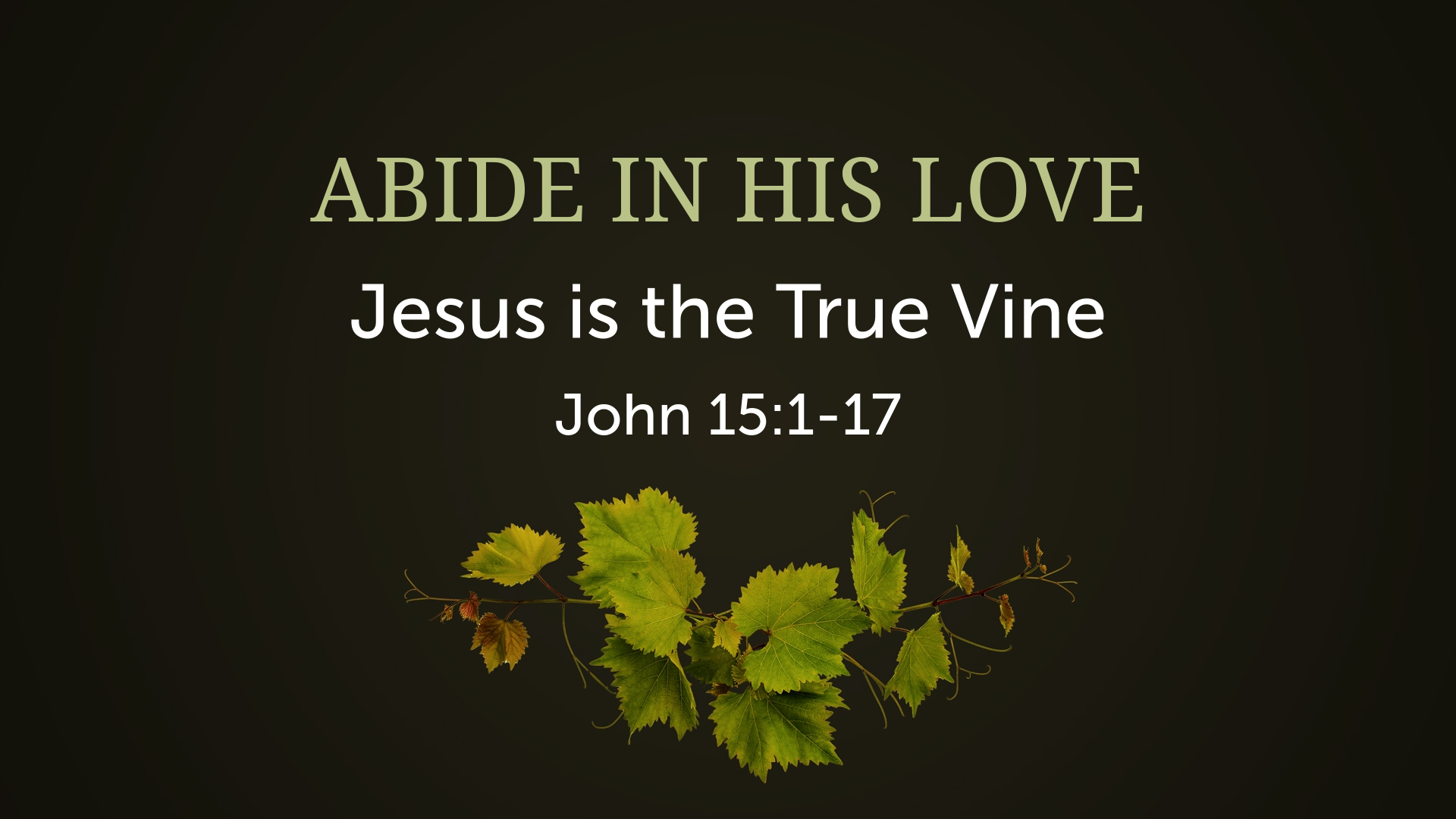 Abide in His Love - Logos Sermons