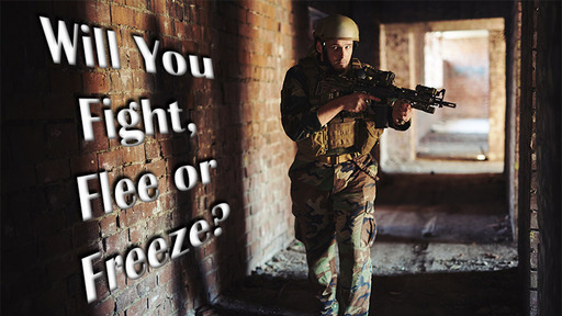 Will You Fight, Flee or Freeze?
