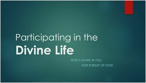 Participating in the Divine Life
