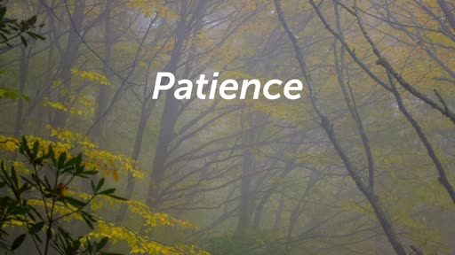 Patiently Patient takes Faith (revised)