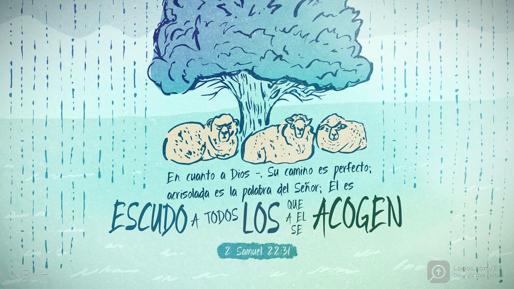 2º Samuel 22:31: En cuanto a Dios -, Su camino es perfecto; acrisolada es la palabra del Señor; El es ESCUDO A TODOS LOS QUE A EL SE ACOGEN