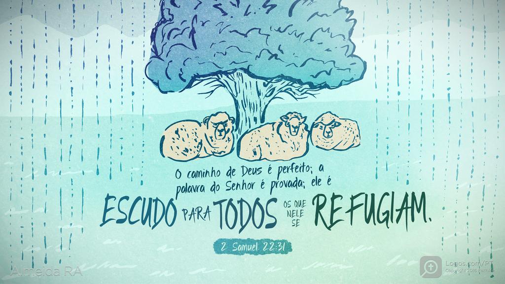 2Samuel 22.31: O caminho de Deus é perfeito; a palavra do Senhor é provada; ele é ESCUDO PARA TODOS OS QUE NELE SE REFUGIAM.