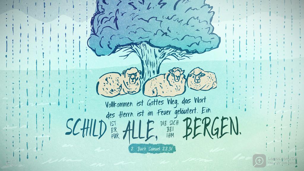 2. Samuel 22,31: Vollkommen ist Gottes Weg, das Wort des Herrn ist im Feuer geläutert. Ein SCHILD IST ER FÜR ALLE, DIE SICH BEI IHM BERGEN.