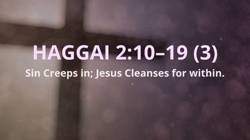 Haggai 2:10–19 (3)