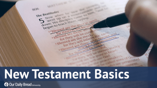 New Testament Basics