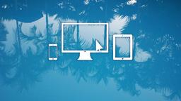 Palm Trees  PowerPoint image 13