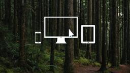 Evergreen Forest  PowerPoint image 12