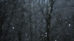 Snow Falling  PowerPoint image 13