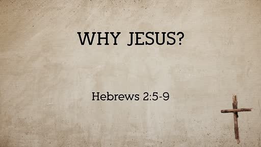 Hebrews 2:5-9 // Why Jesus?