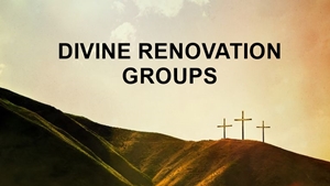 Divine Renovation Groups Smaller