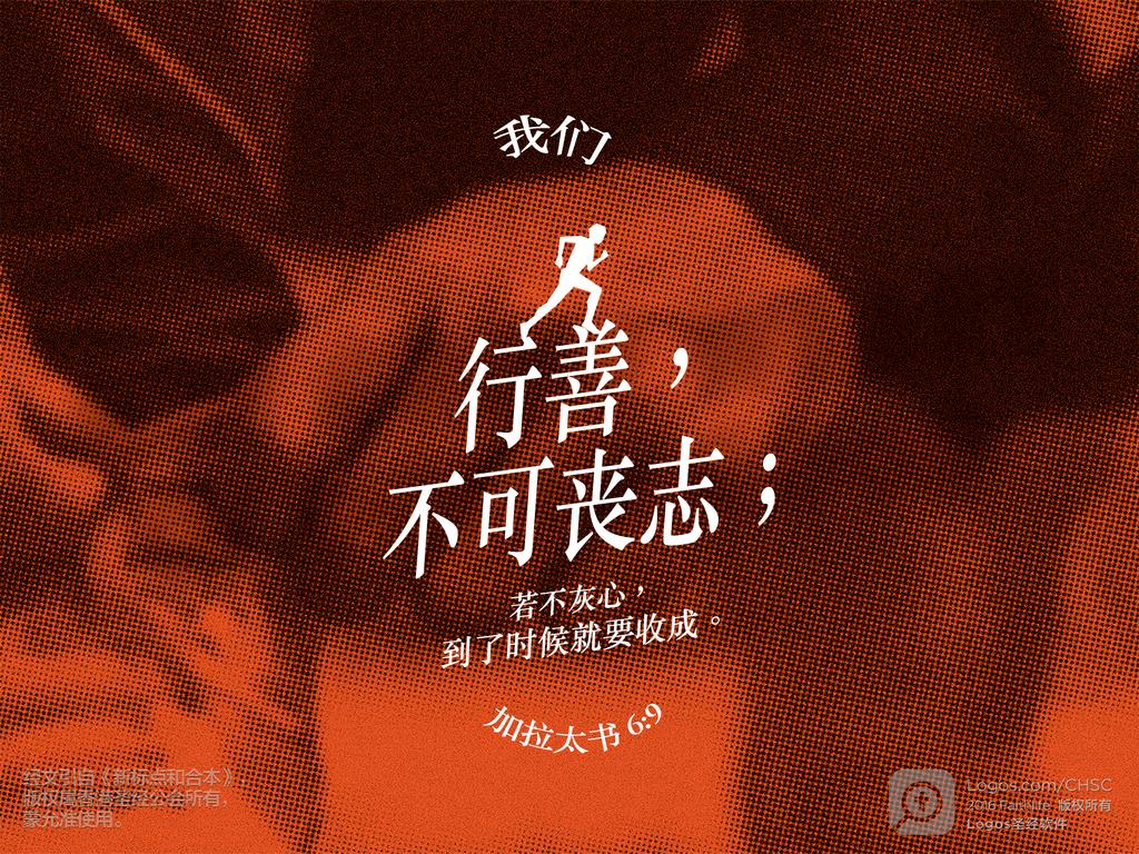 我们行善，不可丧志；若不灰心，到了时候就要收成。