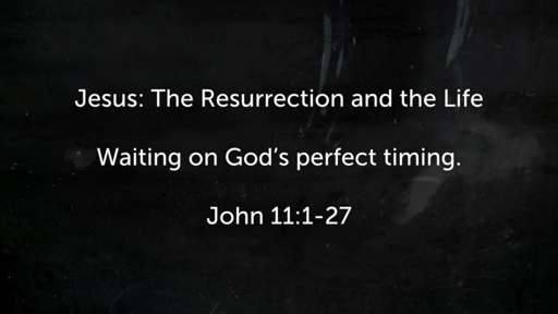 Jesus: The Resurrection and the Life
