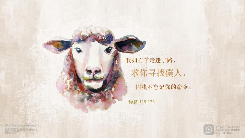 诗篇 119：176: 我如亡羊走迷了路，求你寻找僕人，因我不忘记你的命令。