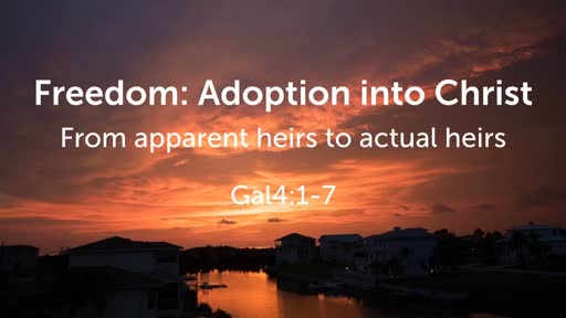 Freedom: Adoption into Christ