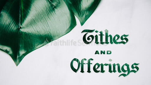 Tithes And Offering Plant