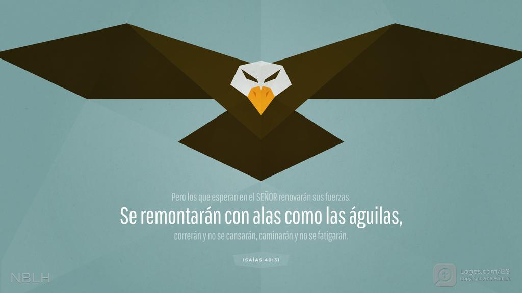 Isaías 40:31: Pero los que esperan en el SEÑOR renovarán sus fuerzas. Se remontarán con alas como las águilas, correrán y no se cansarán, caminarán y no se fatigarán.