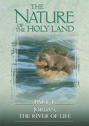 The Nature of the Holy Land