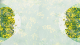 Memorial Service For  PowerPoint Photoshop image 2