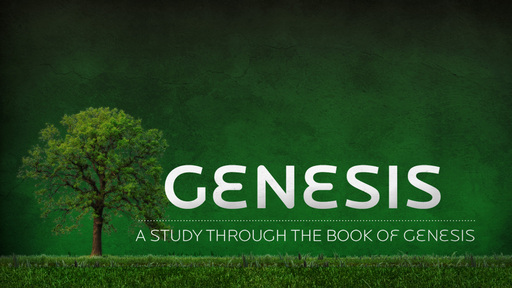 Overview of the Book of Genesis