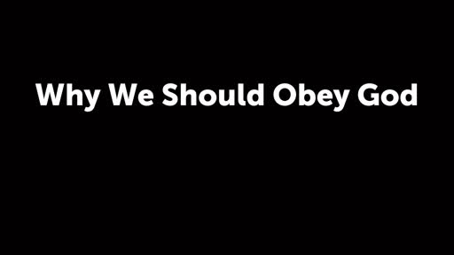 Why We Should Obey God