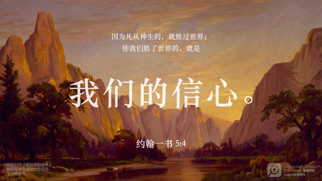 约翰一书 5：4: 因为凡从神生的，就胜过世界；使我们胜了世界的，就是我们的信心。