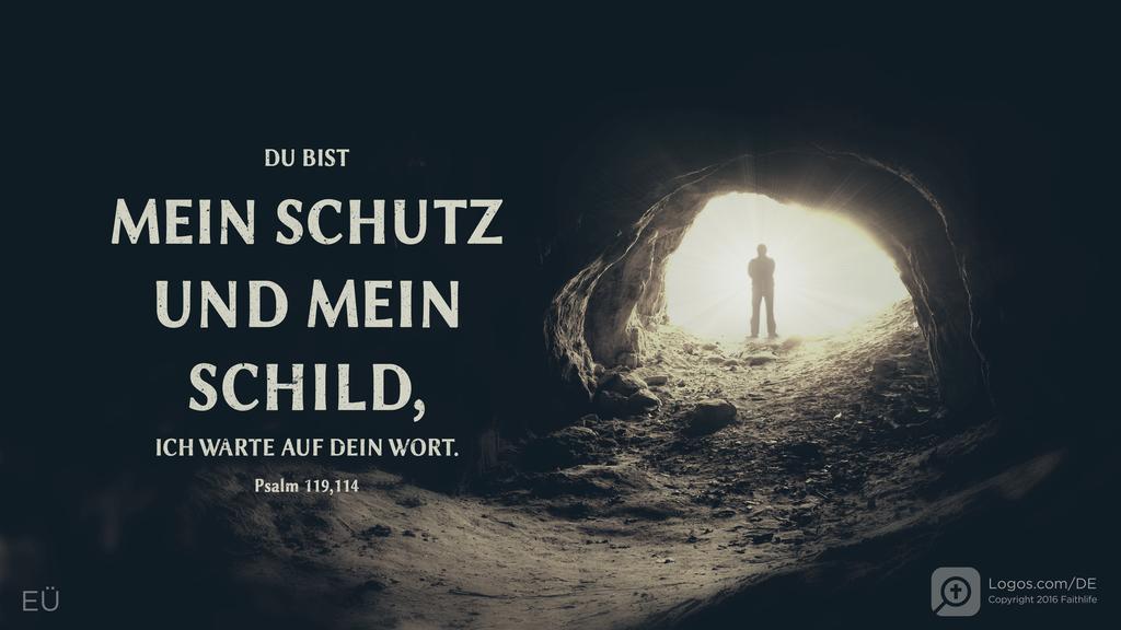 Psalm 119,114: DU BIST MEIN SCHUTZ UND MEIN SCHILD, ICH WARTE AUF DEIN WORT.
