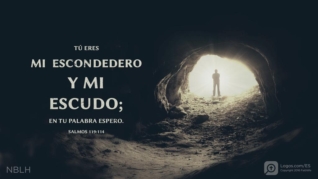 Salmo 119:114: TÚ ERES MI ESCONDEDERO Y MI ESCUDO; EN TU PALABRA ESPERO.