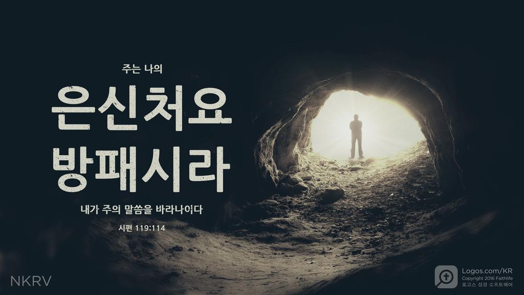 시편 119:114: 주는 나의 은신처요 방패시라 내가 주의 말씀을 바라나이다