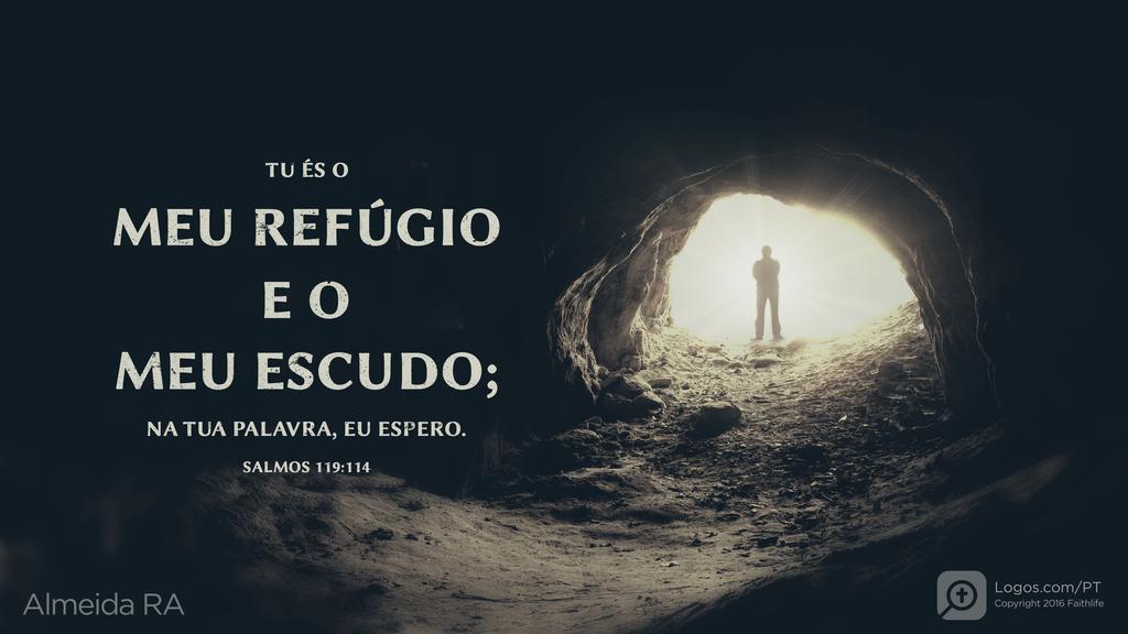 Salmo 119.114: TU ÉS O MEU REFÚGIO E O MEU ESCUDO; NA TUA PALAVRA, EU ESPERO.