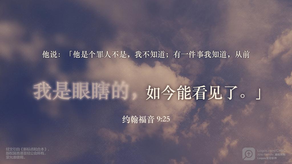 约翰福音 9：25: 他说：「他是个罪人不是，我不知道；有一件事我知道，从前我是眼瞎的，如今能看见了。」