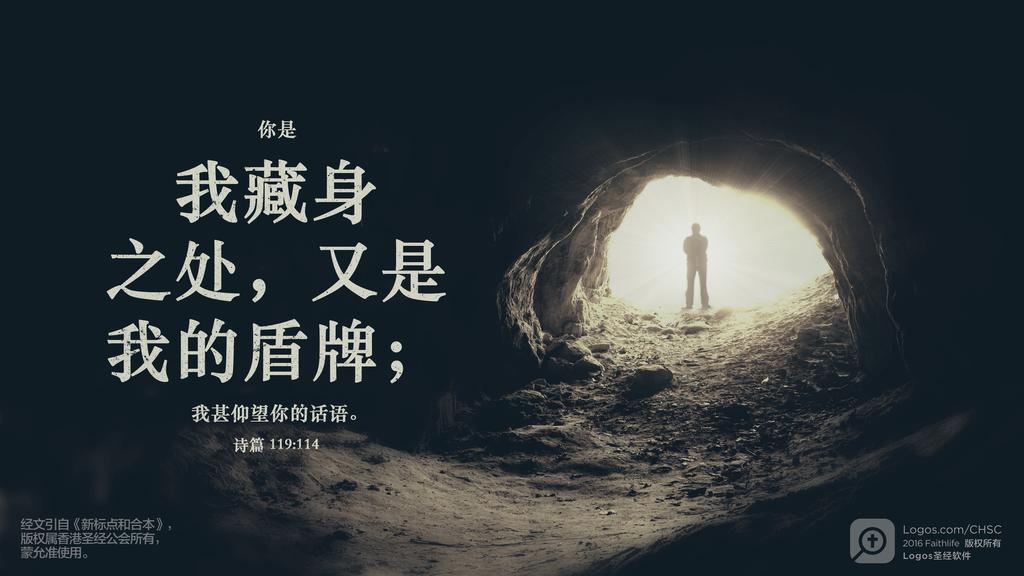 诗篇 119：114: 你是我藏身之处，又是我的盾牌；我甚仰望你的话语。