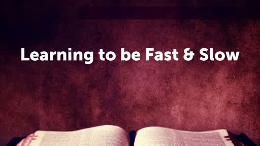 Learning to be Fast & Slow