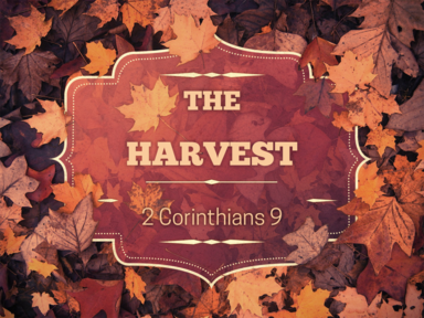 The Harvest: Part 1