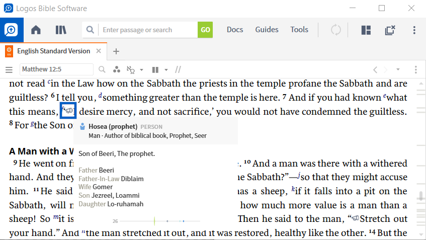 Visual Filters Logos Bible Software