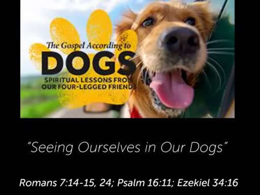 The Gospel According to Dogs