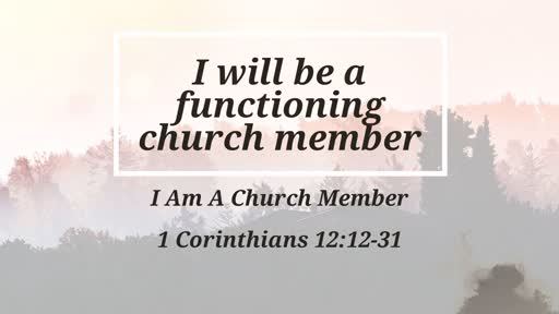 I Will be a Functioning Church Member