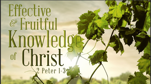11032019 Effective and Fruitful Knowledge of Christ 2 Peter
