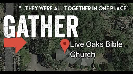 2019-11-10-LIVE OAKS - Gather: To Be Moved